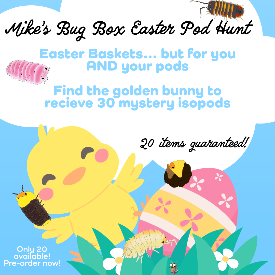 Mikes Bug Box Easter Pod Hunt