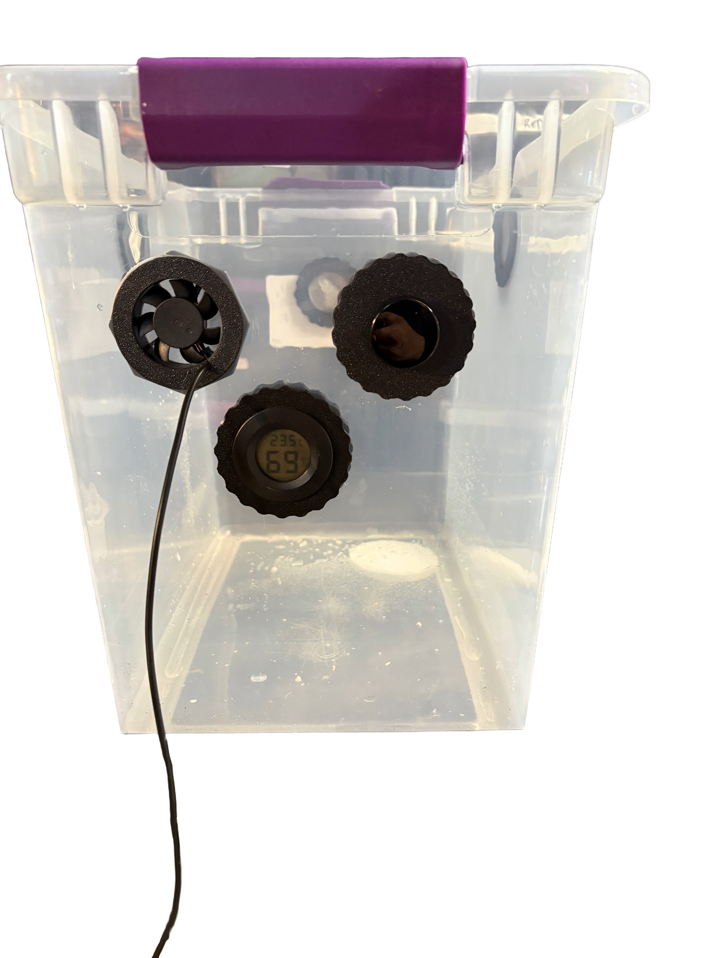 15 qt Arboreal Isopod Setup
