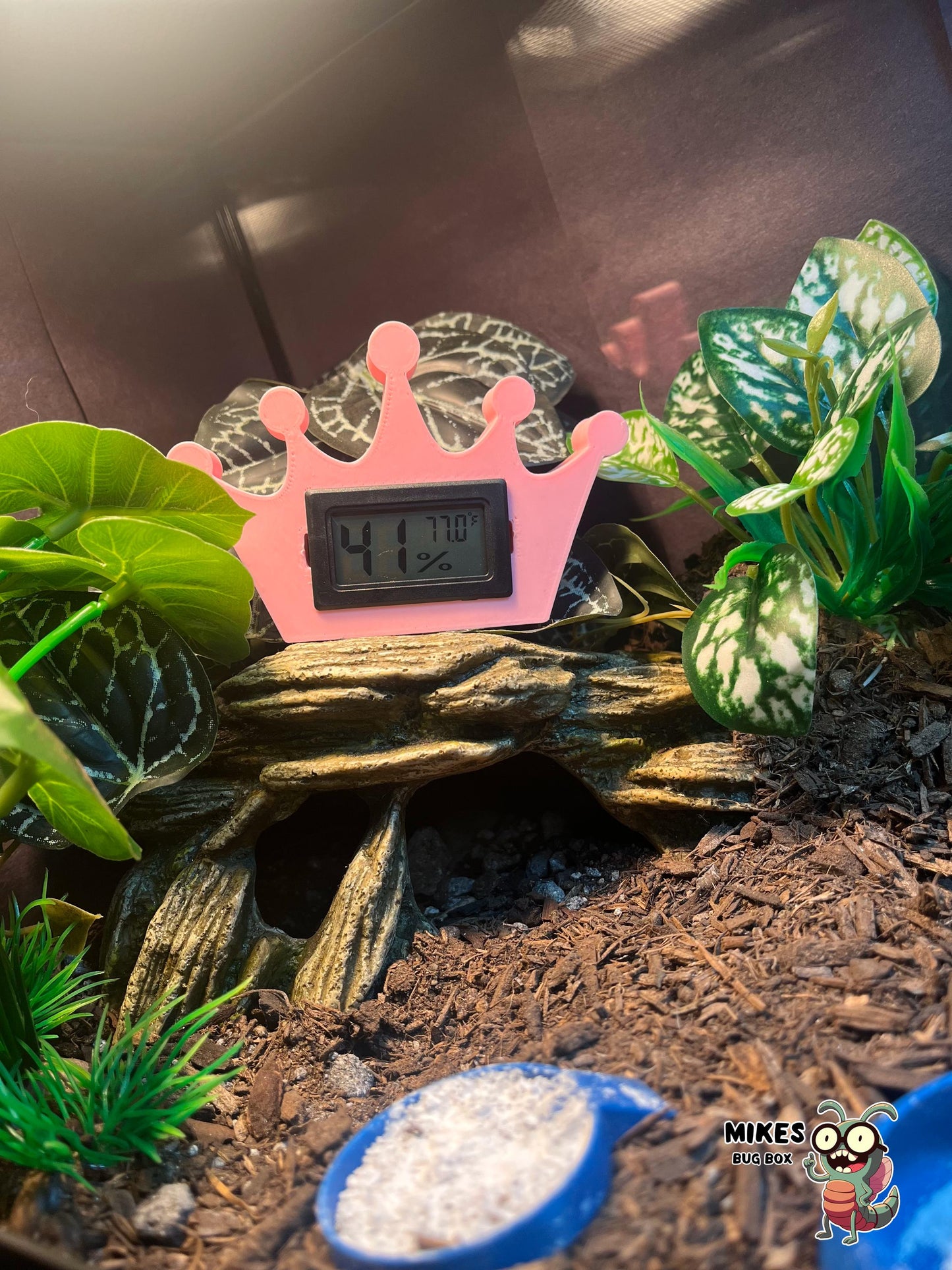Princess Crown Temp & Humidity Gauge – Gauge Included