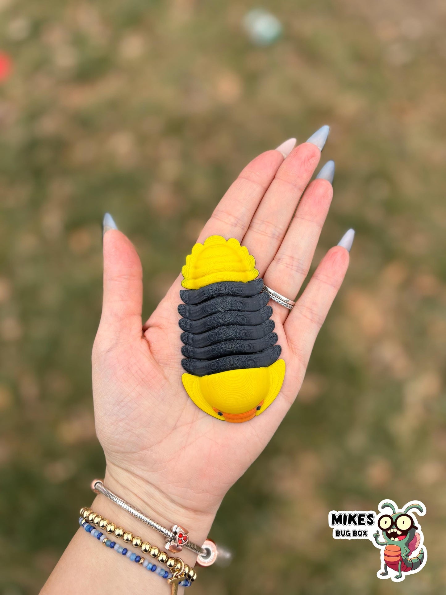 3D Printed isopods