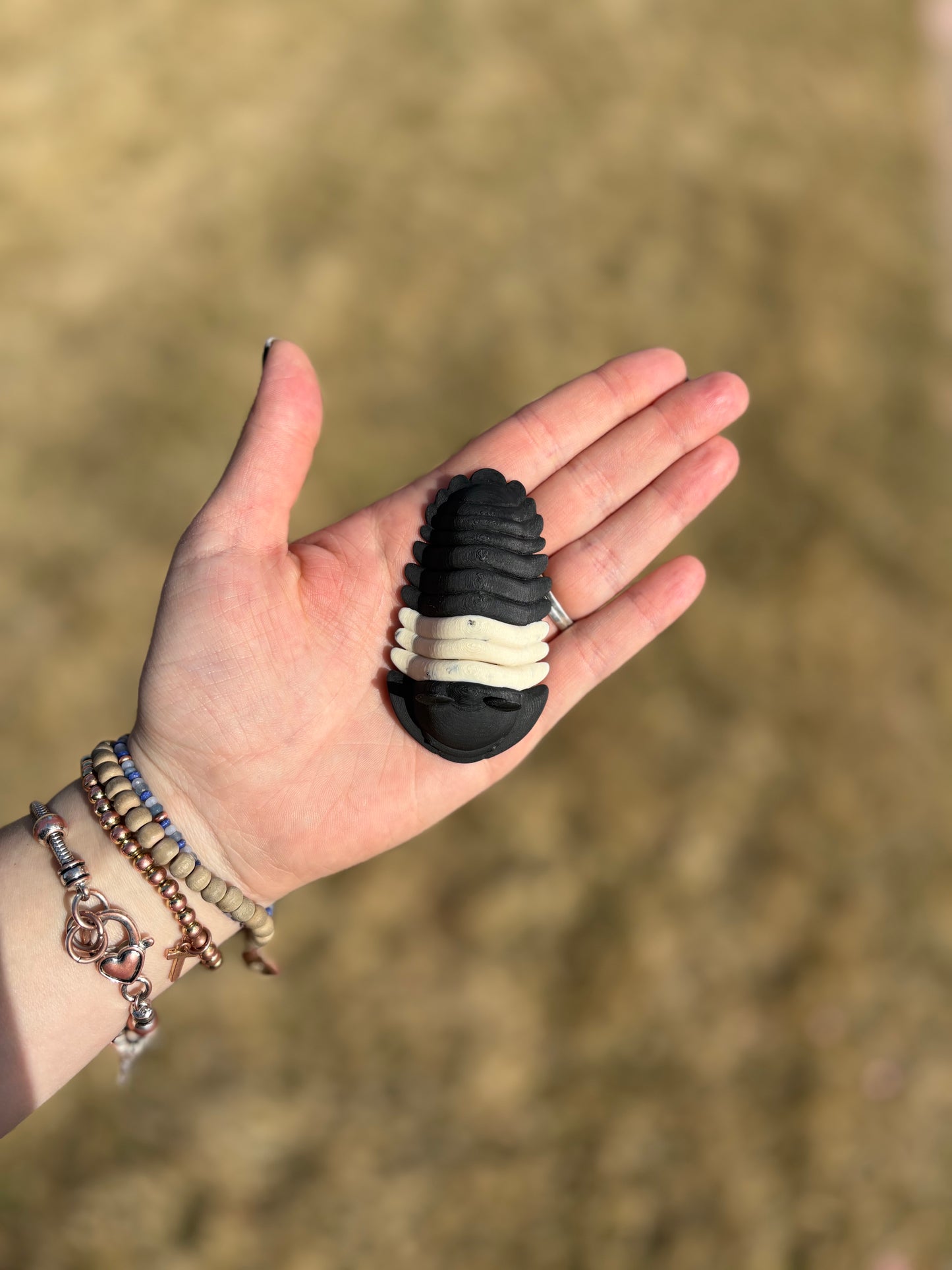 3D Printed isopods