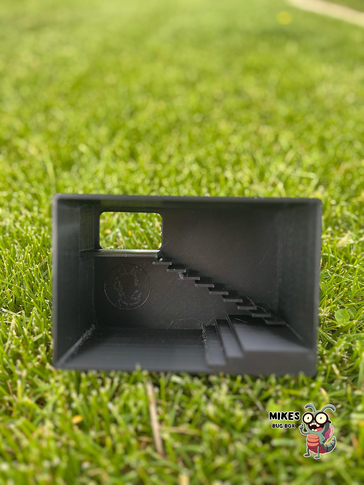 In-Ground Reptile Hide with Built-In Stairs / Gecko