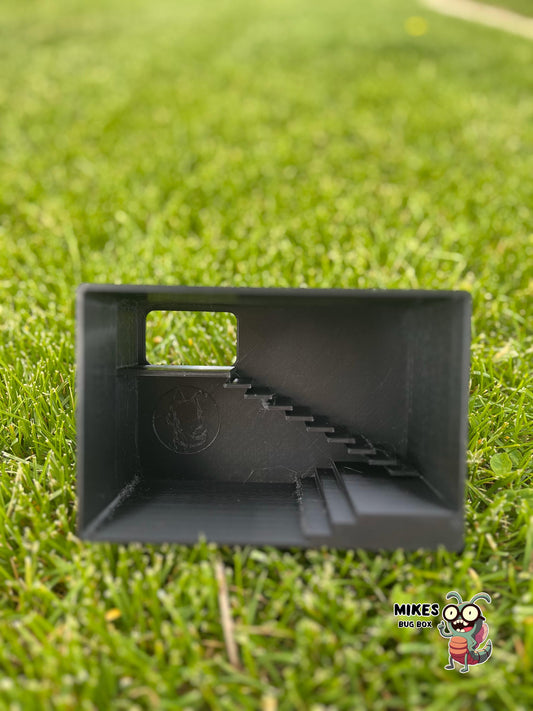 In-Ground Reptile Hide with Built-In Stairs / Gecko