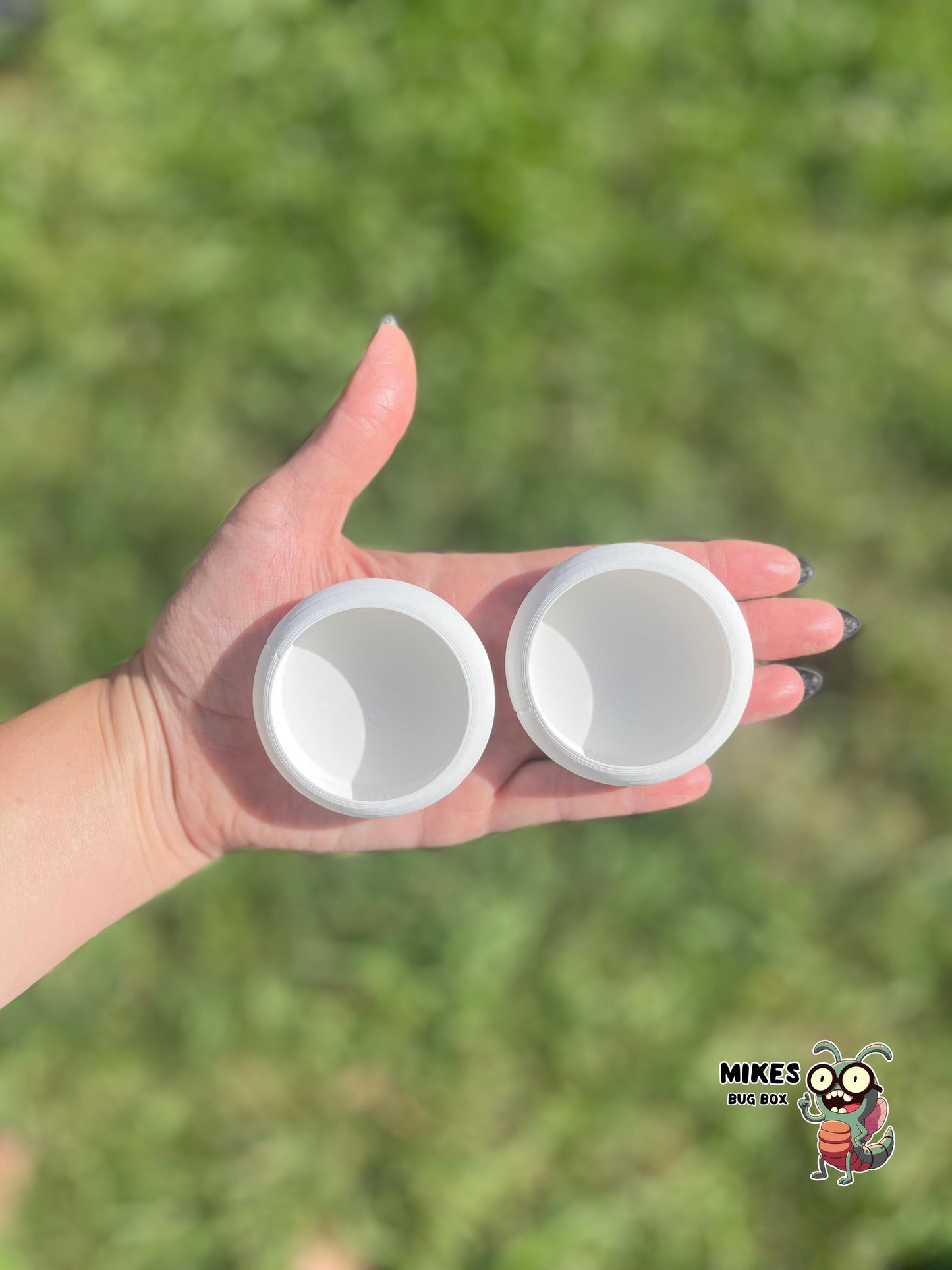 2-Pack Reptile “No Escape” Feeder Bowl – Custom Color Choice
