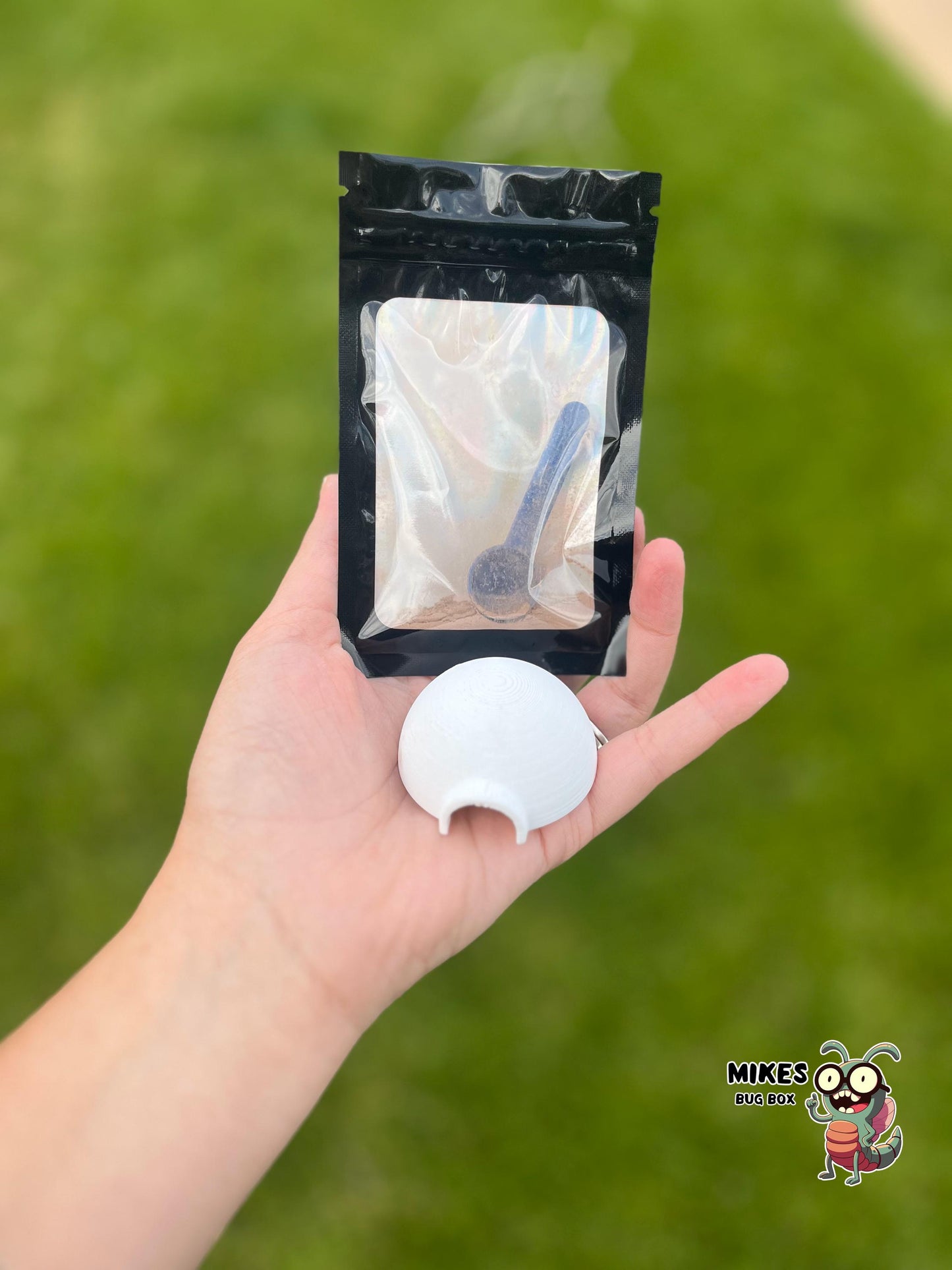 Springtail Feeding Igloo – With Springtail Clay Included!