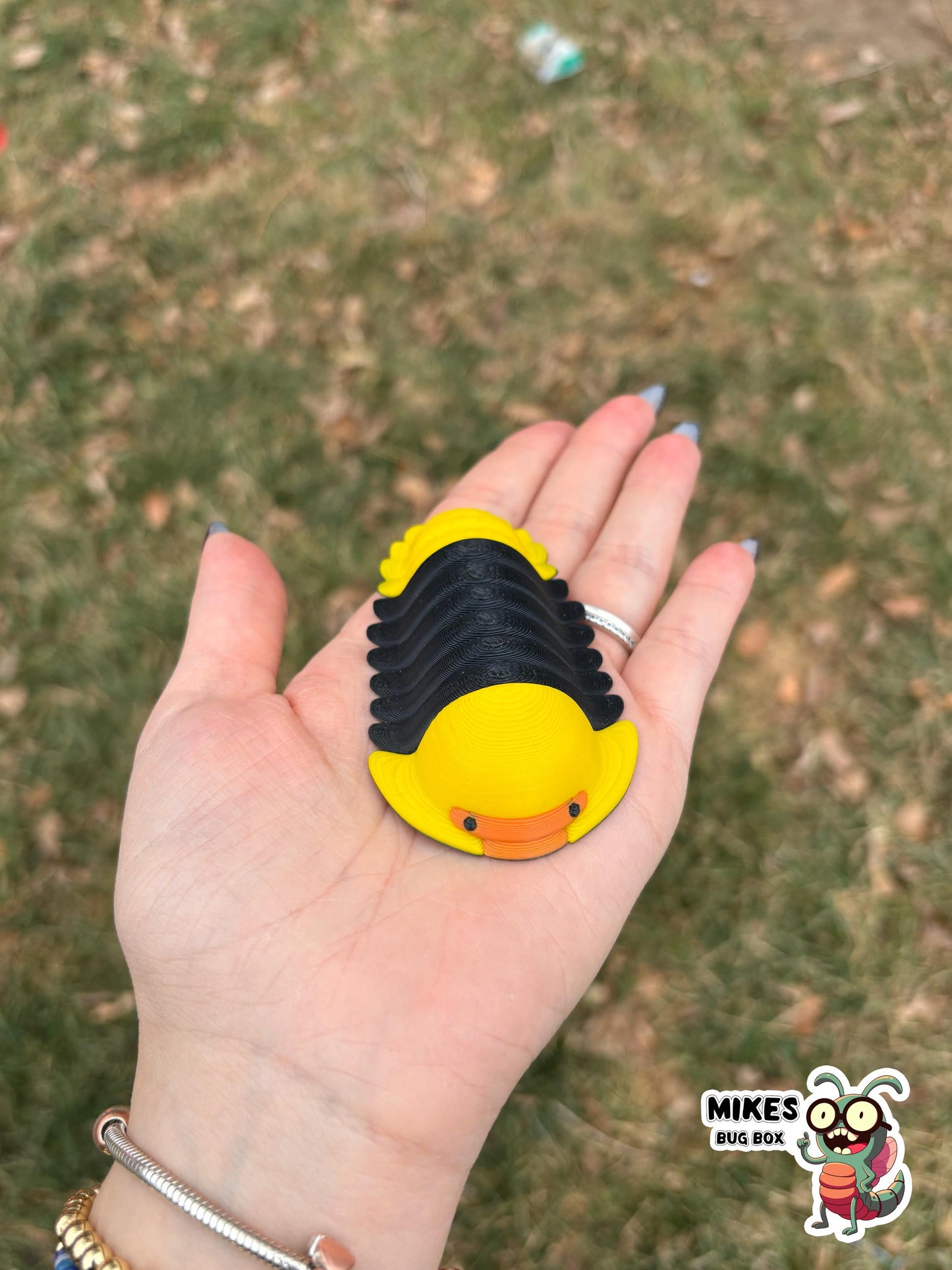 3D Printed isopods