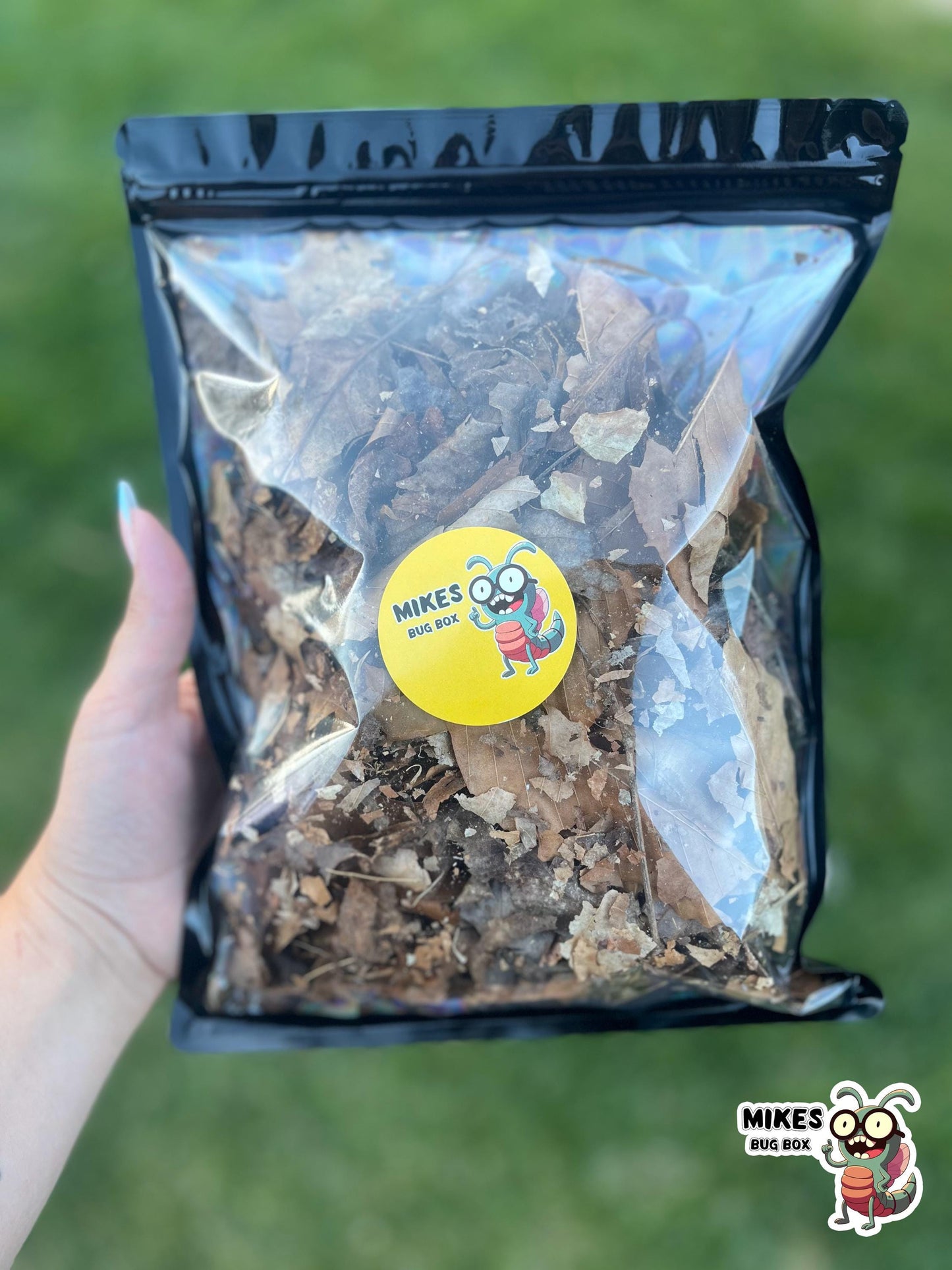 Isopod Leaf Litter