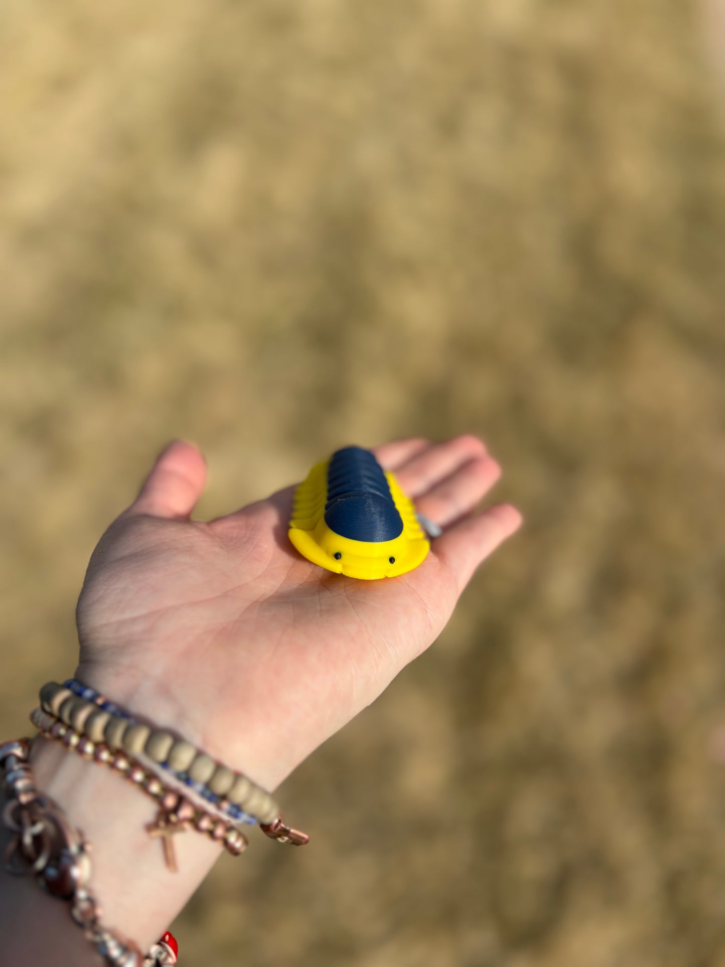 3D Printed isopods