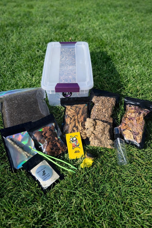 Mike’s Isopod/Millipede Starter Kit