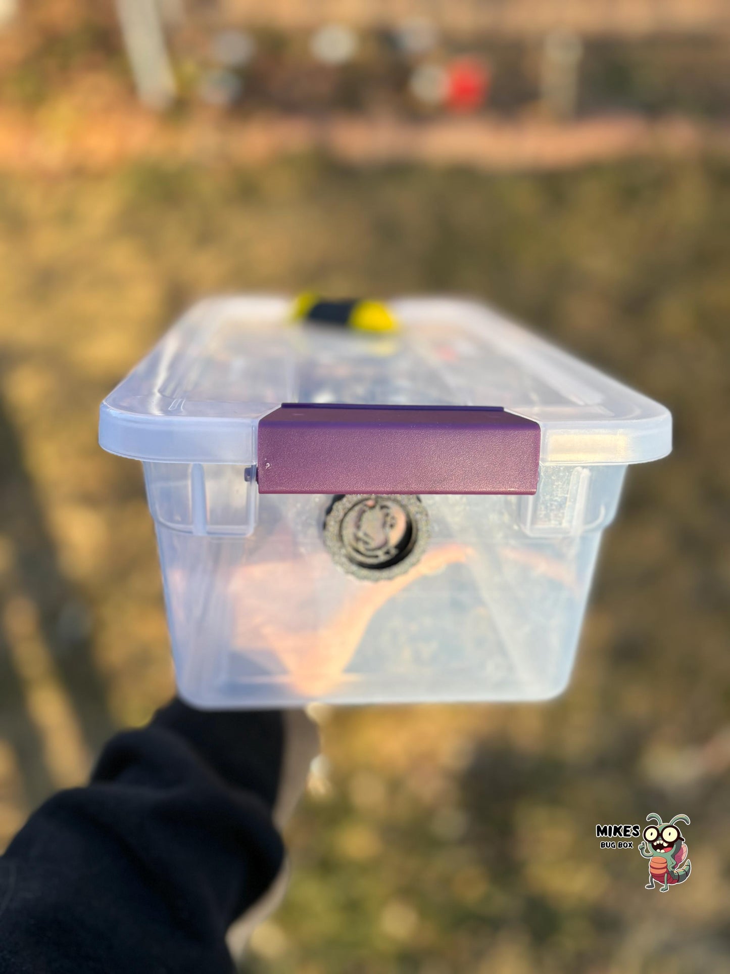 Latching 6-Quart Isopod Enclosure (Complete Setup)