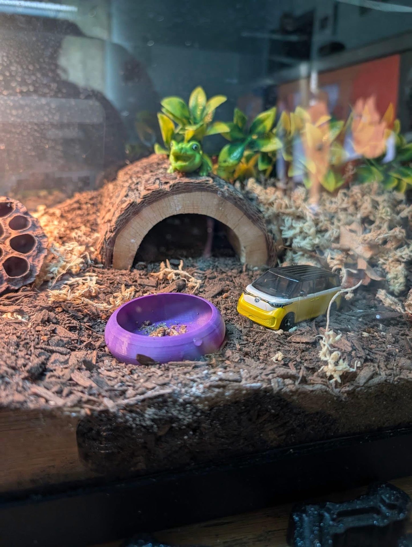 2-Pack Reptile “No Escape” Feeder Bowl – Custom Color Choice
