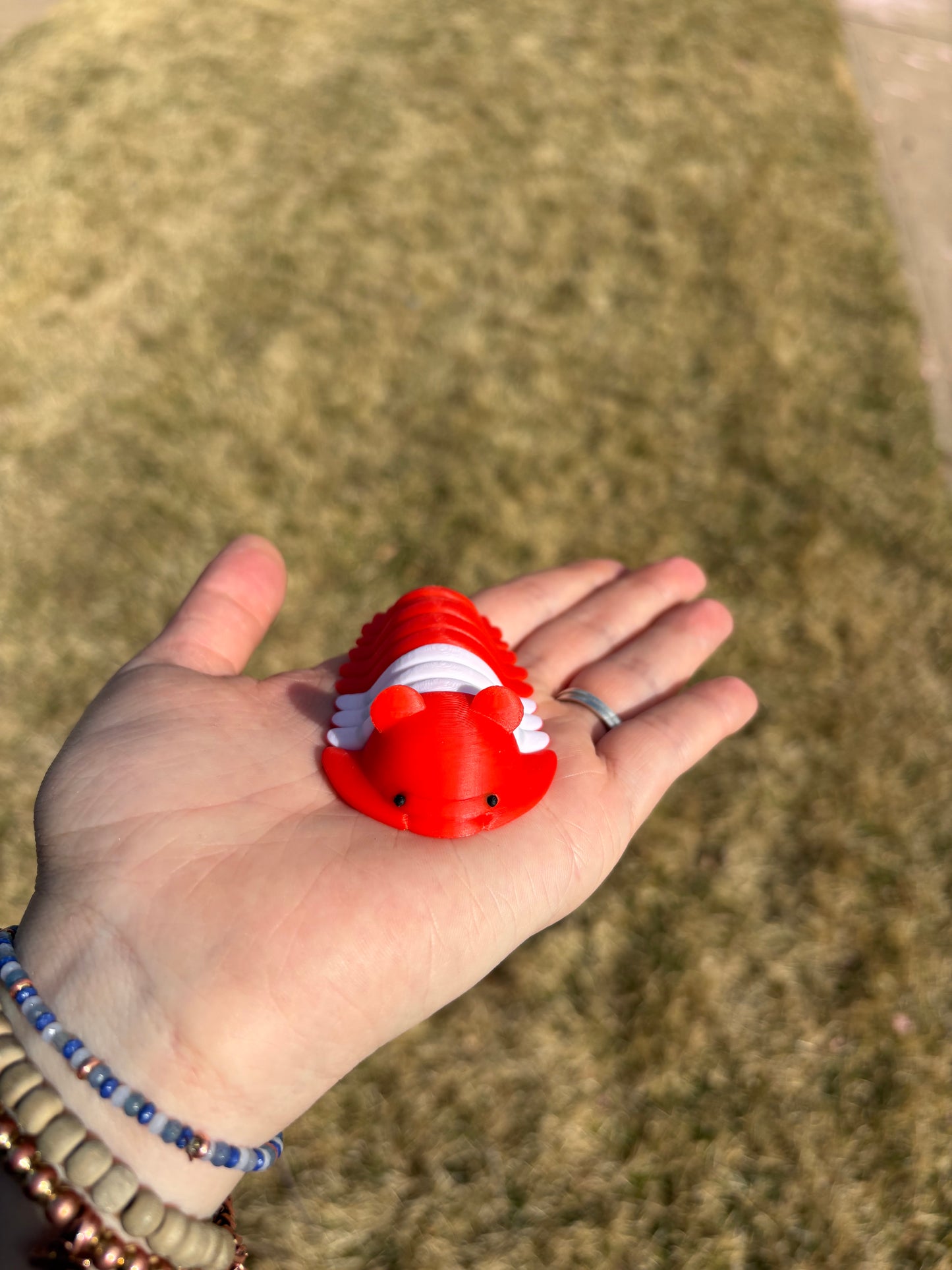 3D Printed isopods