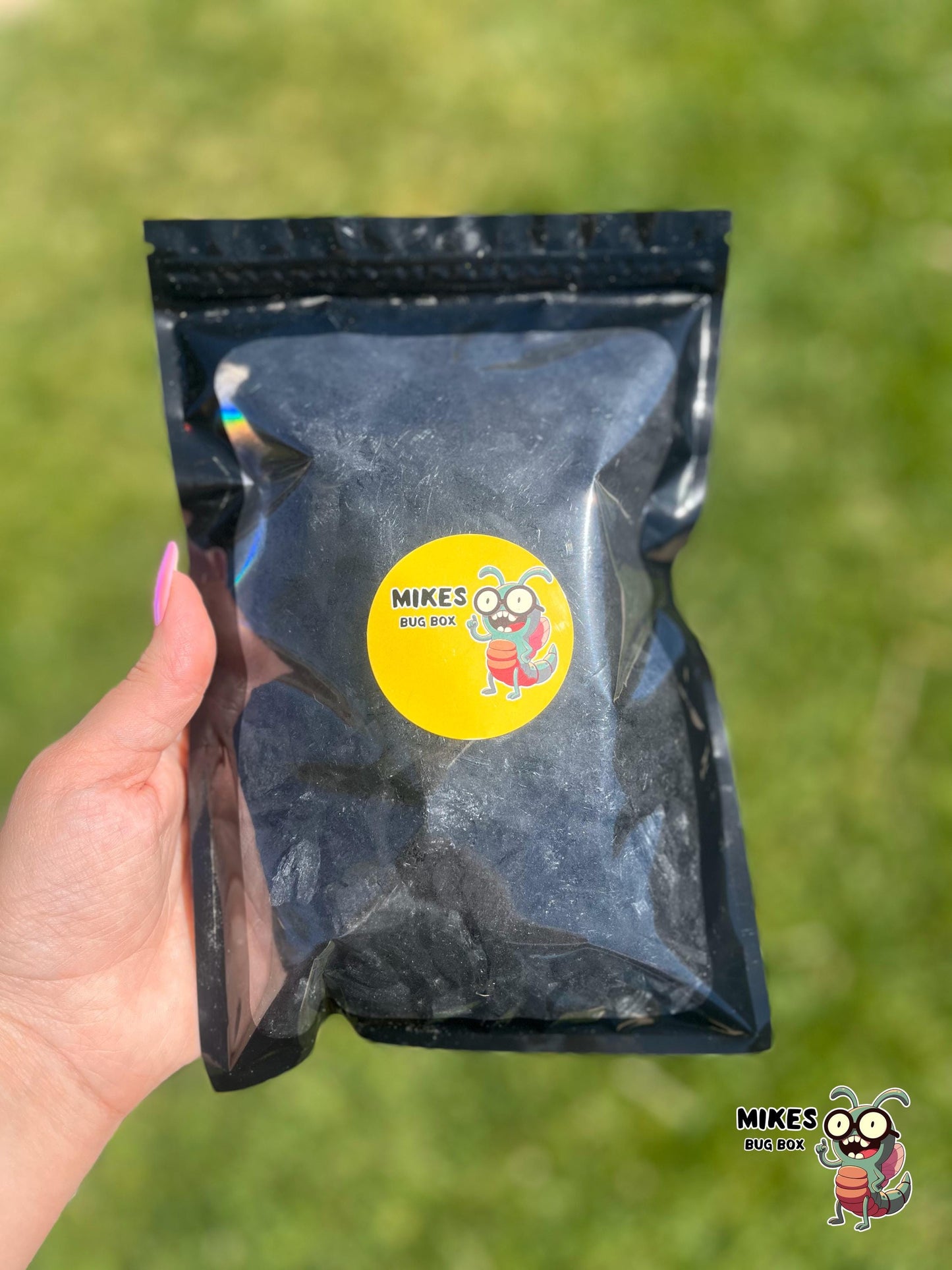 Natural Lump Charcoal – Purifying Habitat Support for Isopods & Springtails