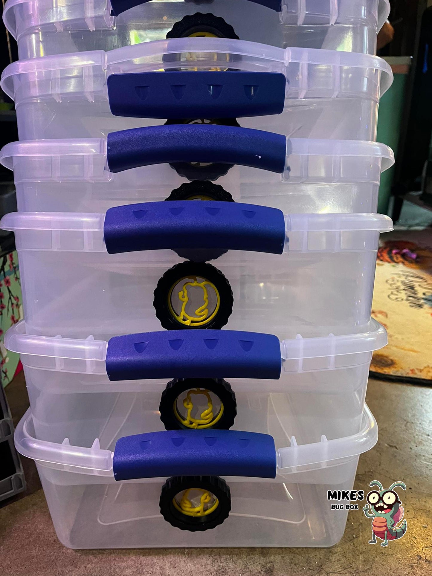 2 inch Metal Mesh Air Vents Isopods, centipede, Reptile, Praying Mantis & Tarantula Enclosure