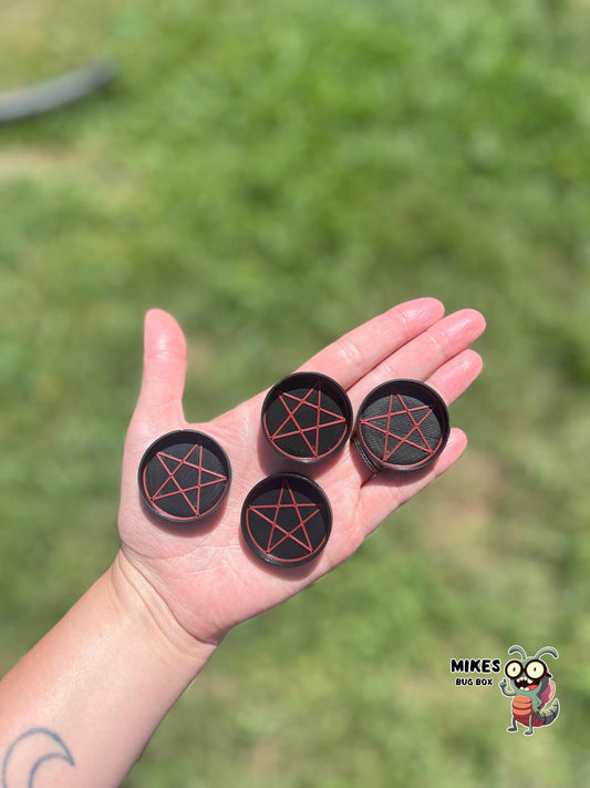 Pentagram Food & Calcium Dish for Isopods, Millipedes, and Geckos / 4 pack