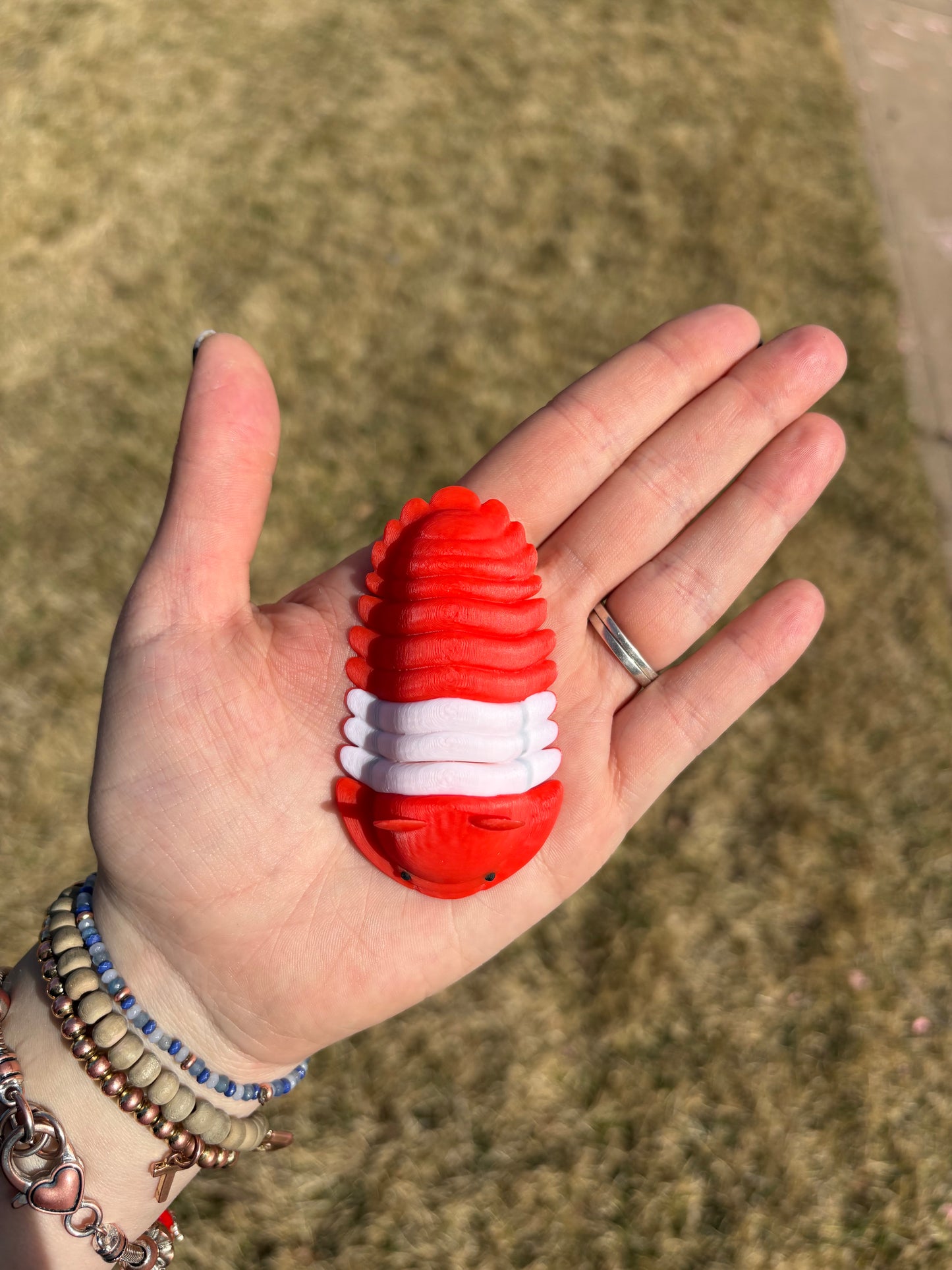 3D Printed isopods