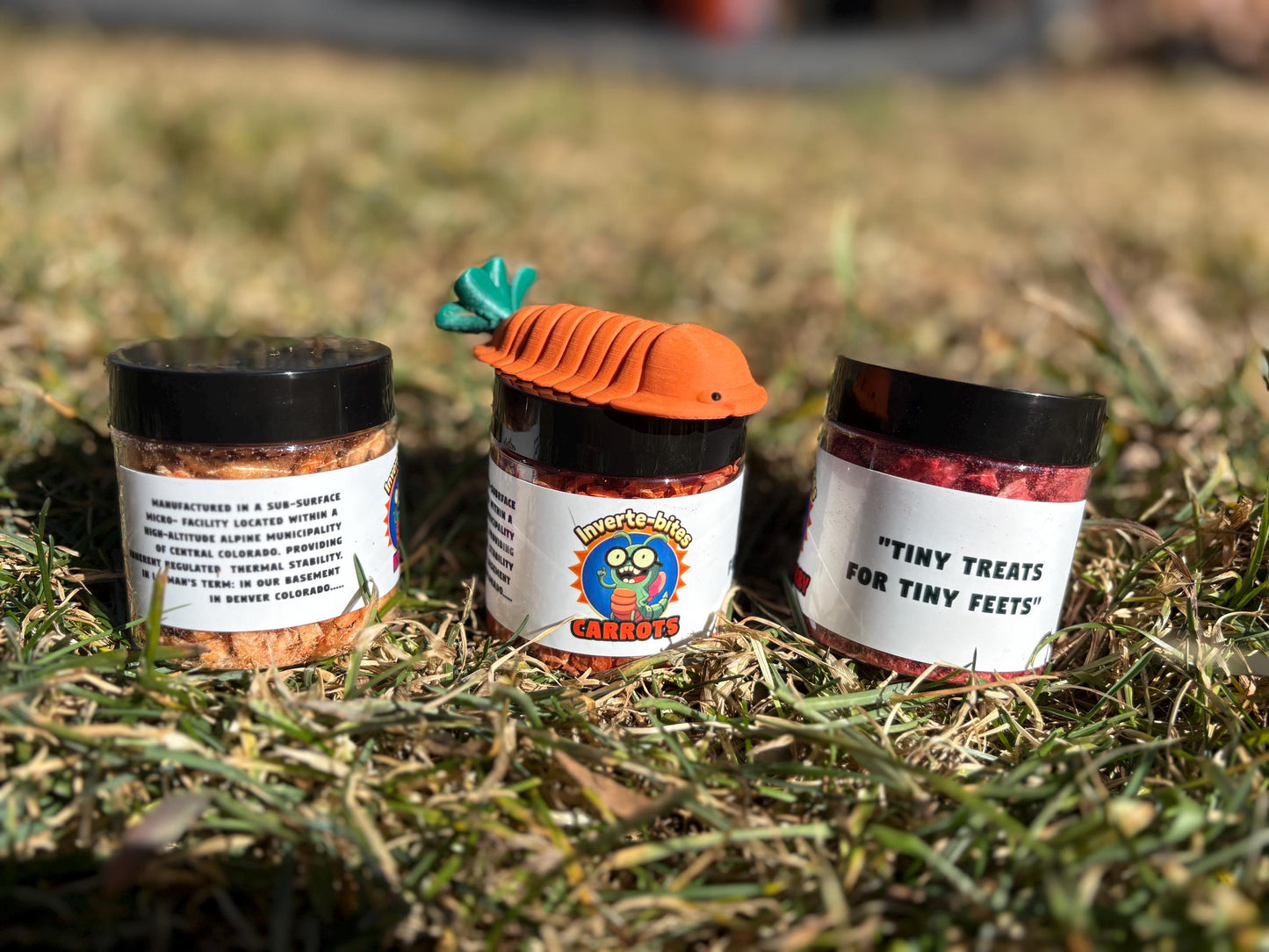 Inverte-bites Isopod/Invertebrate Treat Variety – Carrot, Strawberry & Krill | Natural Invertebrate Snacks