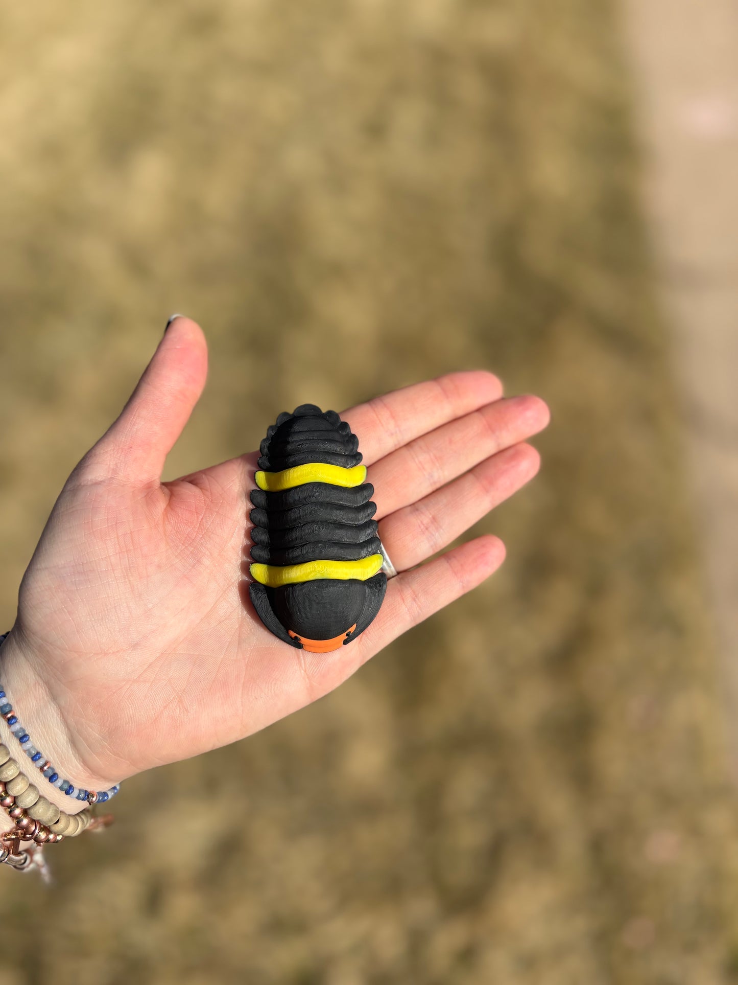 3D Printed isopods