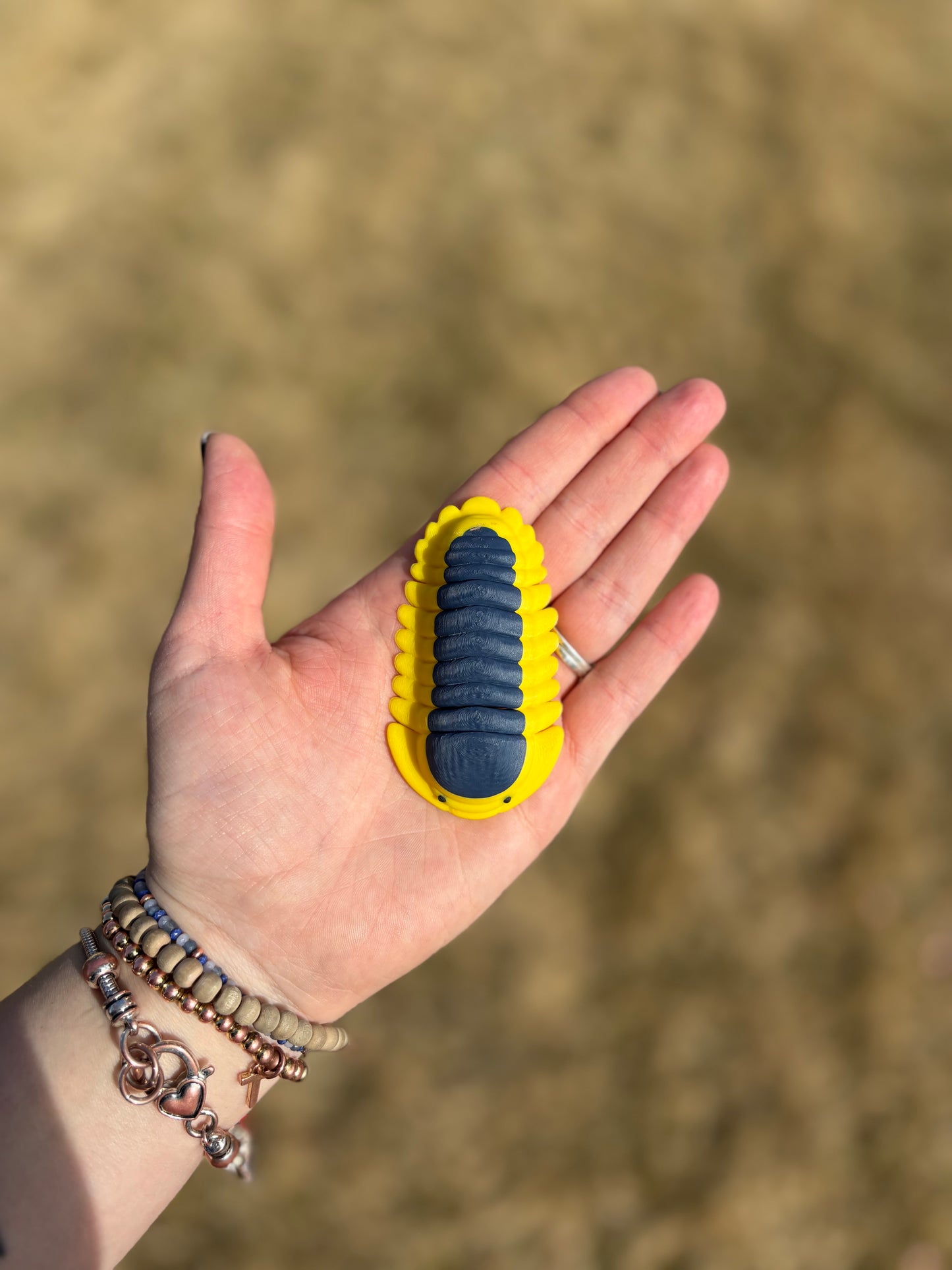 3D Printed isopods