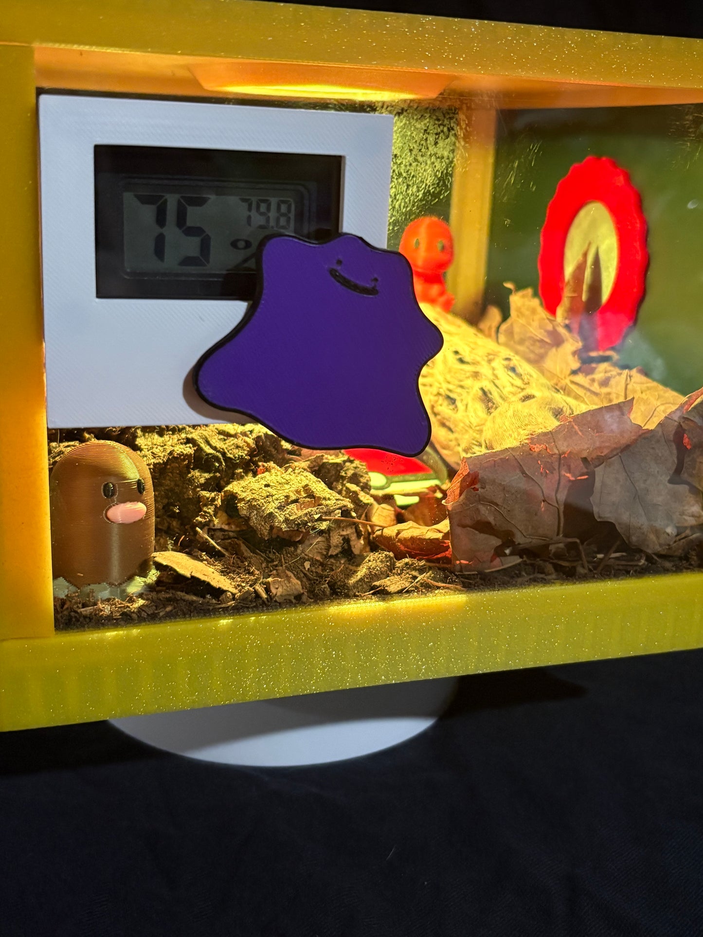 Custom Isopod Enclosures