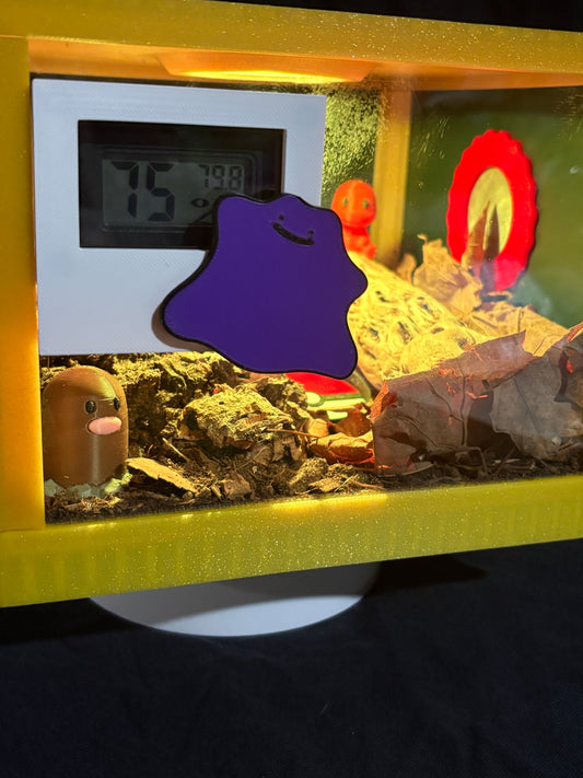 Custom Isopod Enclosures