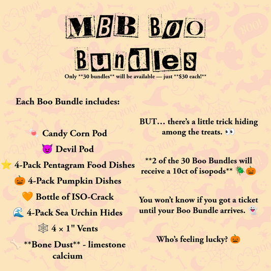 Boo Bundle