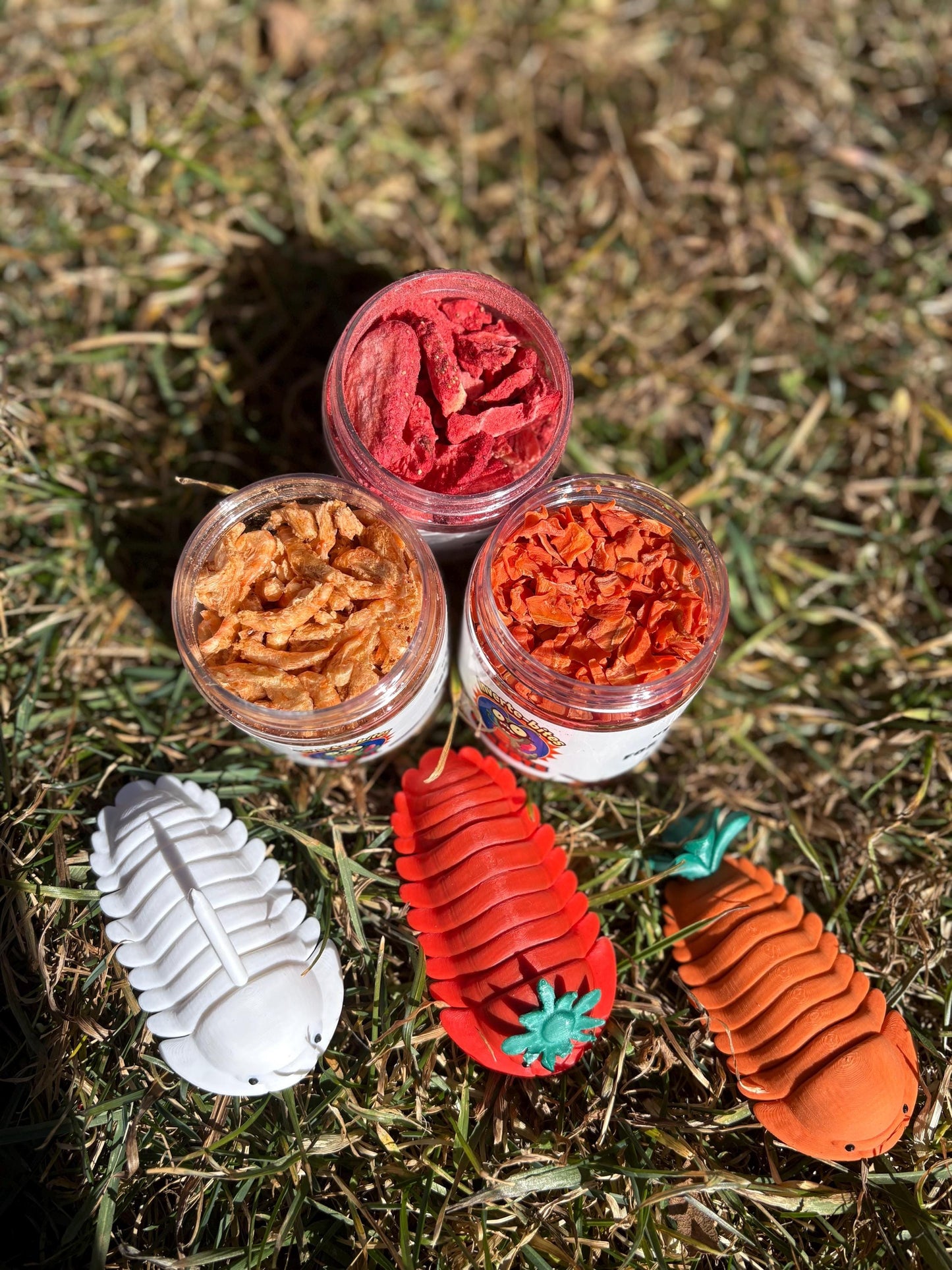 Inverte-bites Isopod/Invertebrate Treat Variety – Carrot, Strawberry & Krill | Natural Invertebrate Snacks