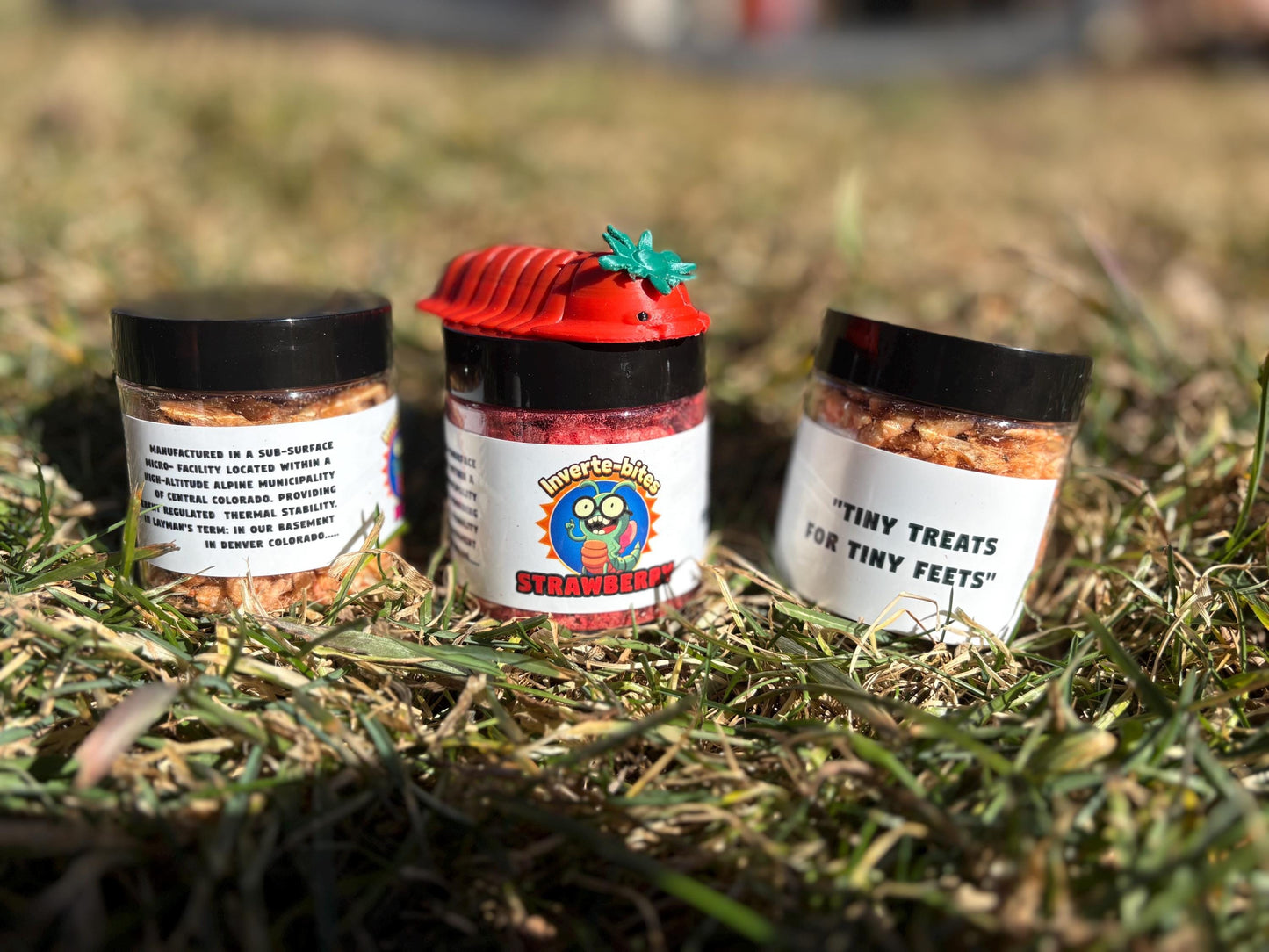 Inverte-bites Isopod/Invertebrate Treat Variety – Carrot, Strawberry & Krill | Natural Invertebrate Snacks