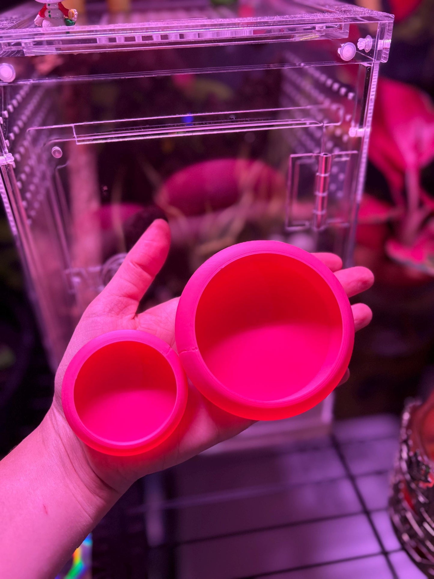 2-Pack Reptile “No Escape” Feeder Bowl – Custom Color Choice