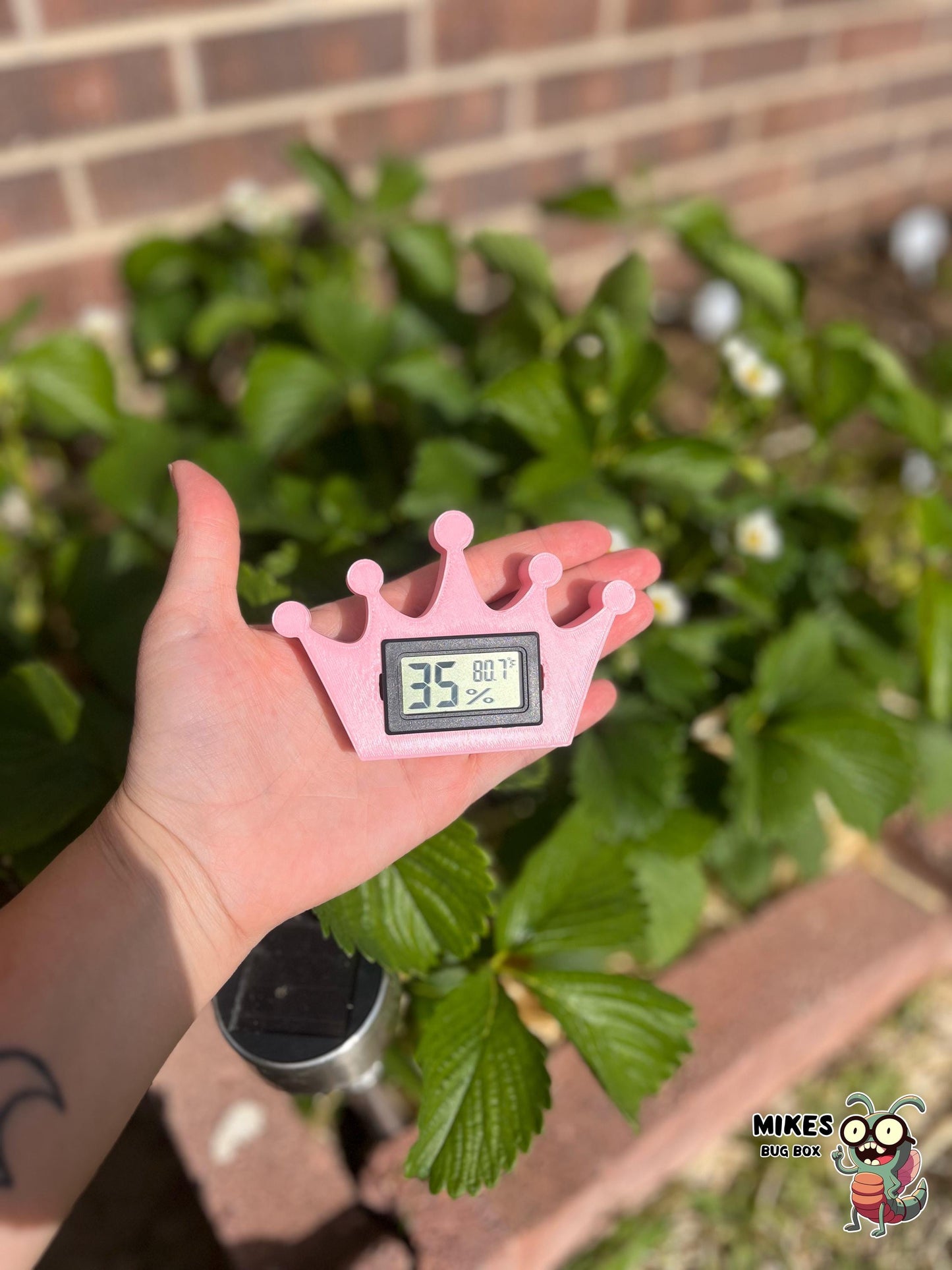 Princess Crown Temp & Humidity Gauge – Gauge Included