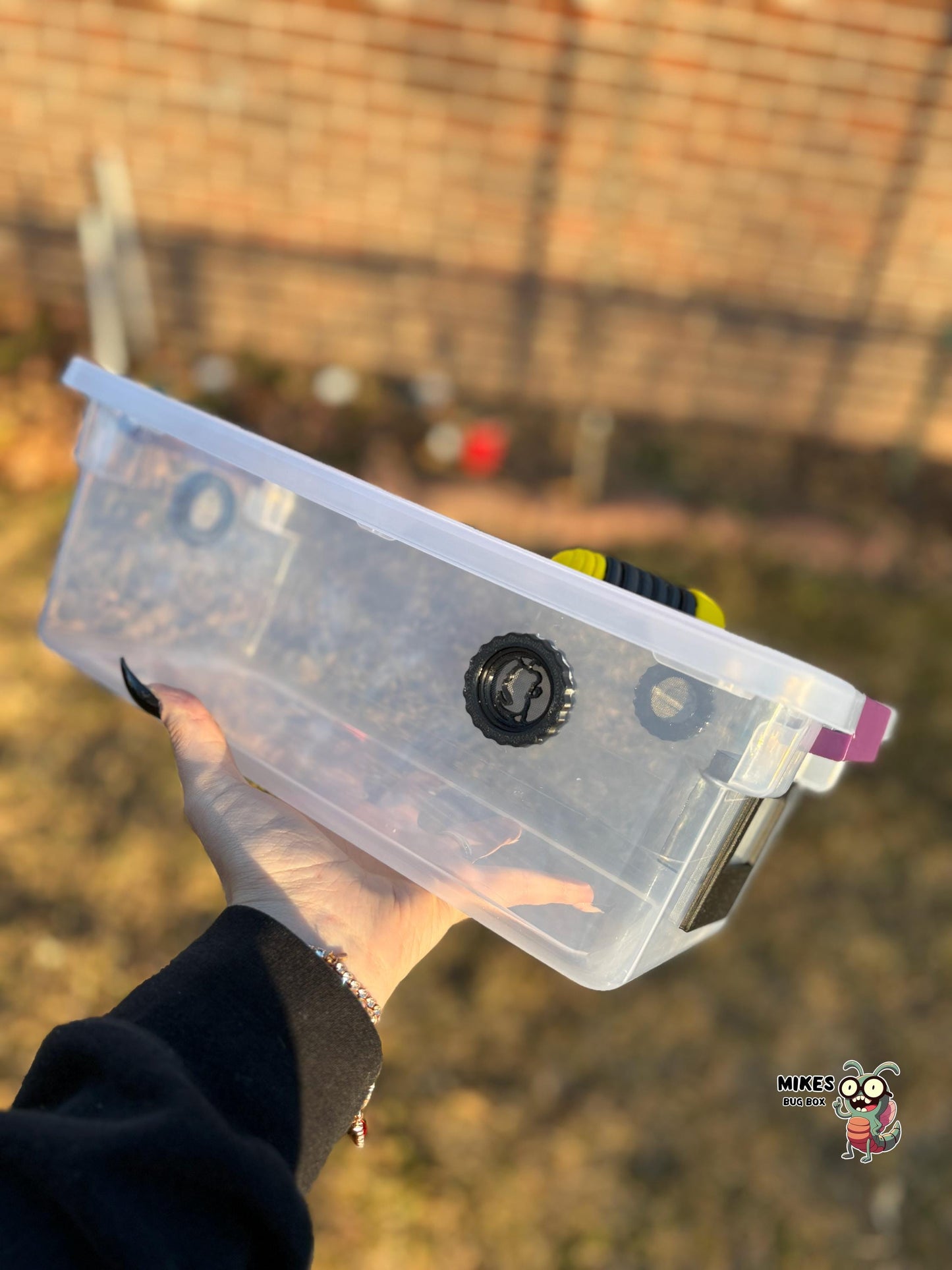 Latching 6-Quart Isopod Enclosure (Complete Setup)