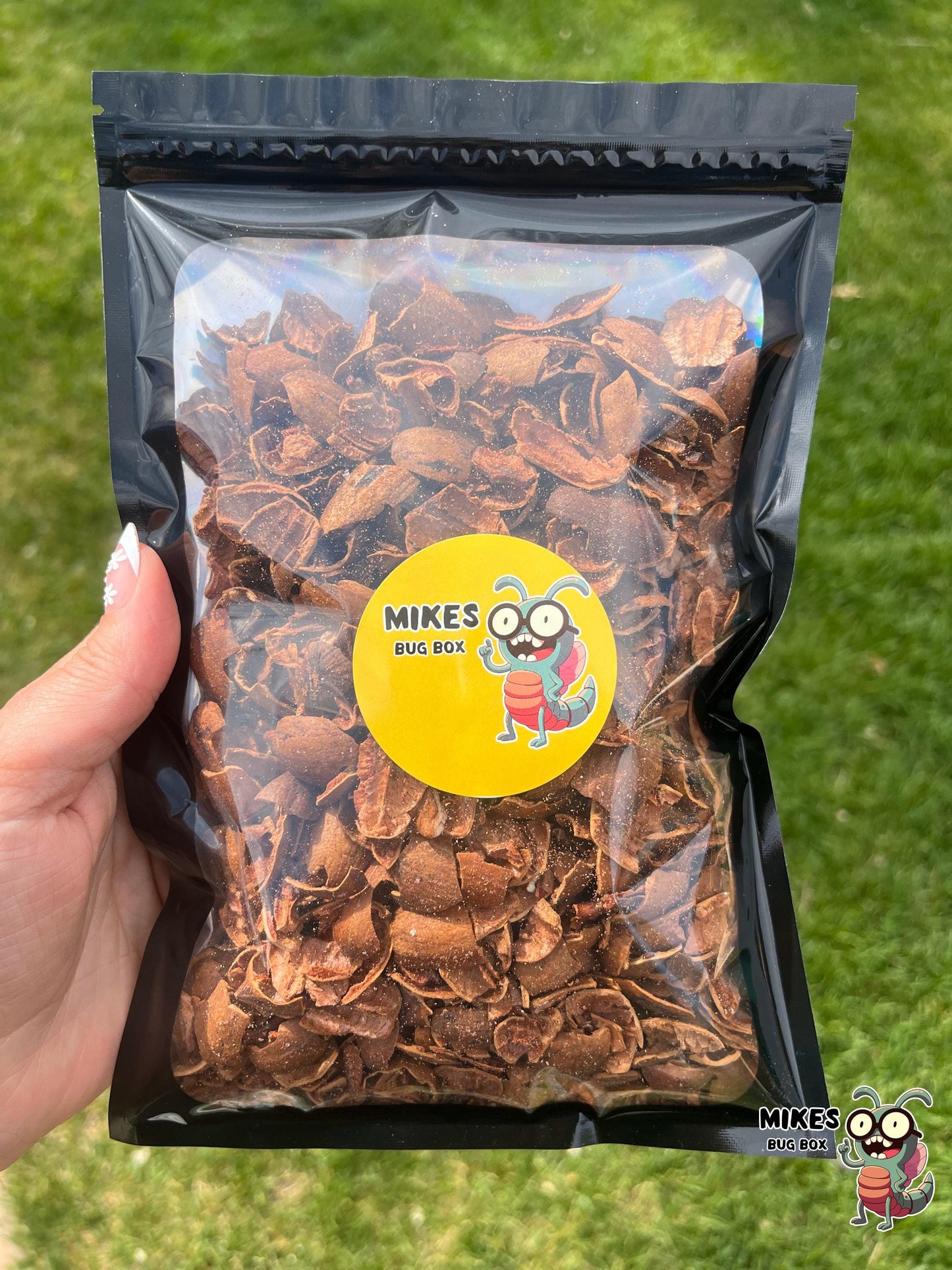 Isopod Pecan Shells