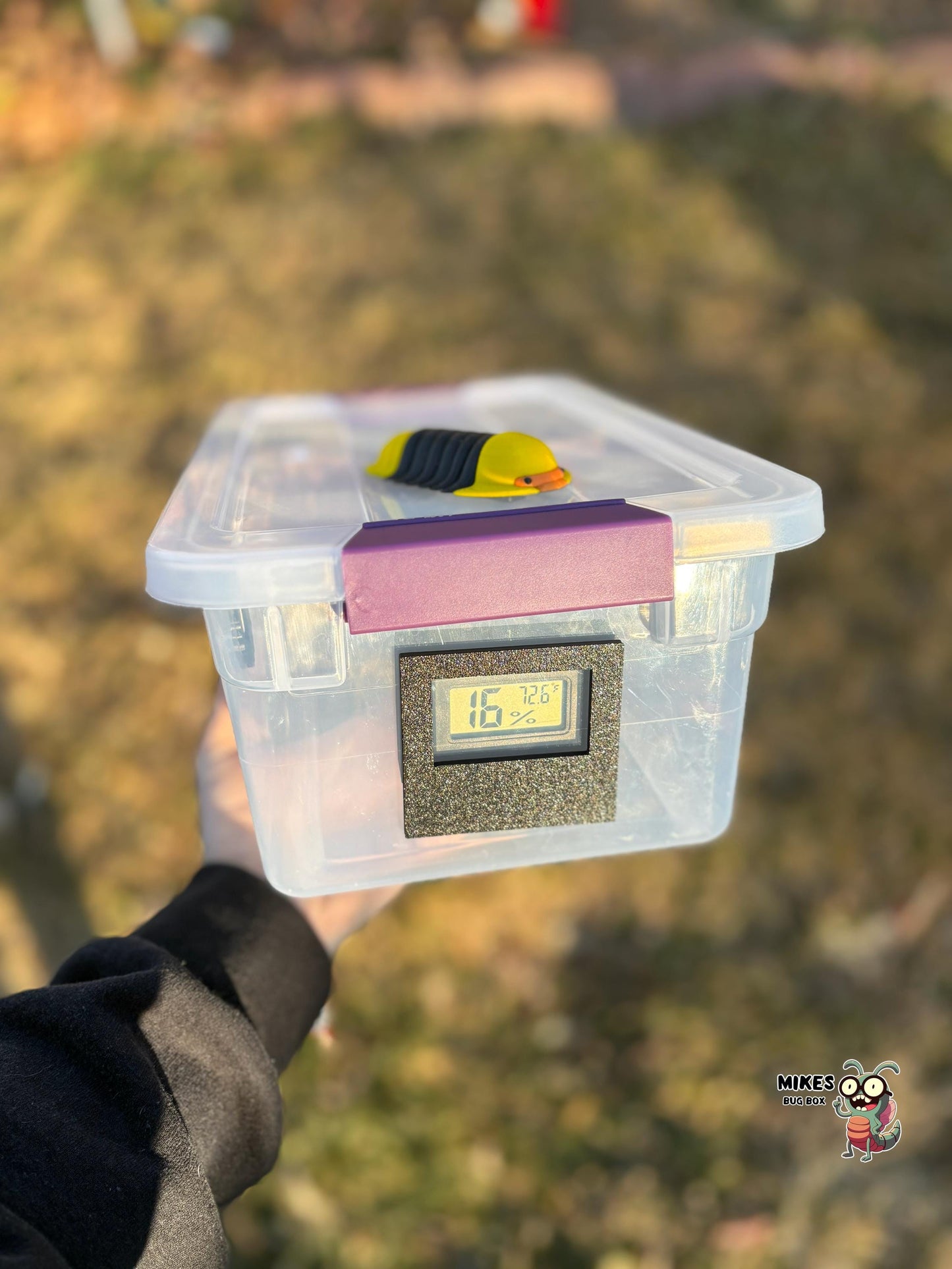 Latching 6-Quart Isopod Enclosure (Complete Setup)